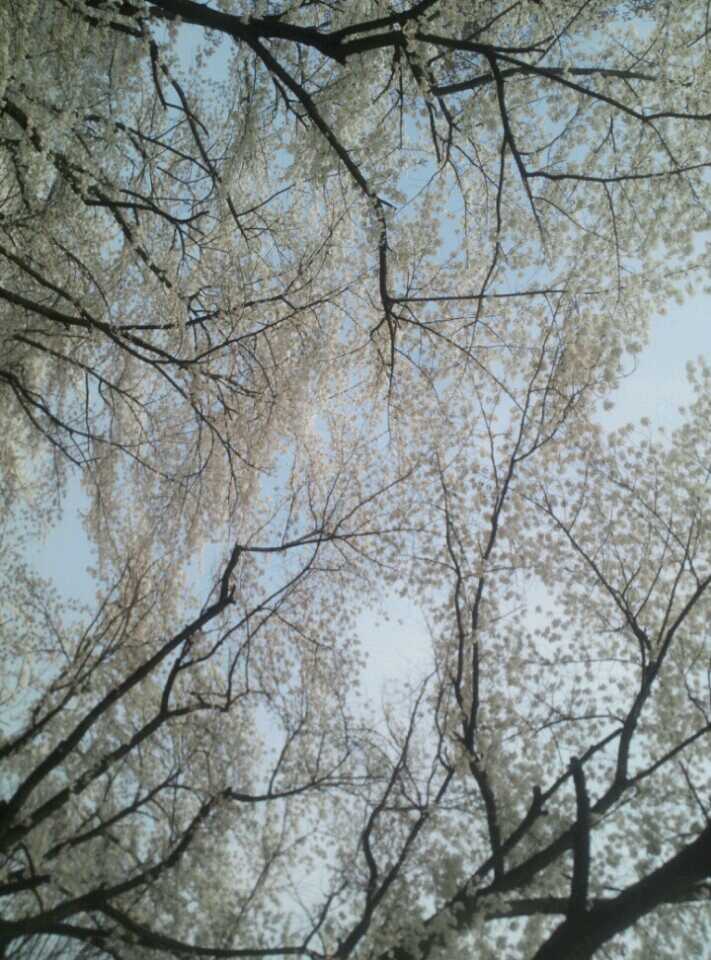 이미지 출처 : photo by 이표 (2012년 직접 촬영)