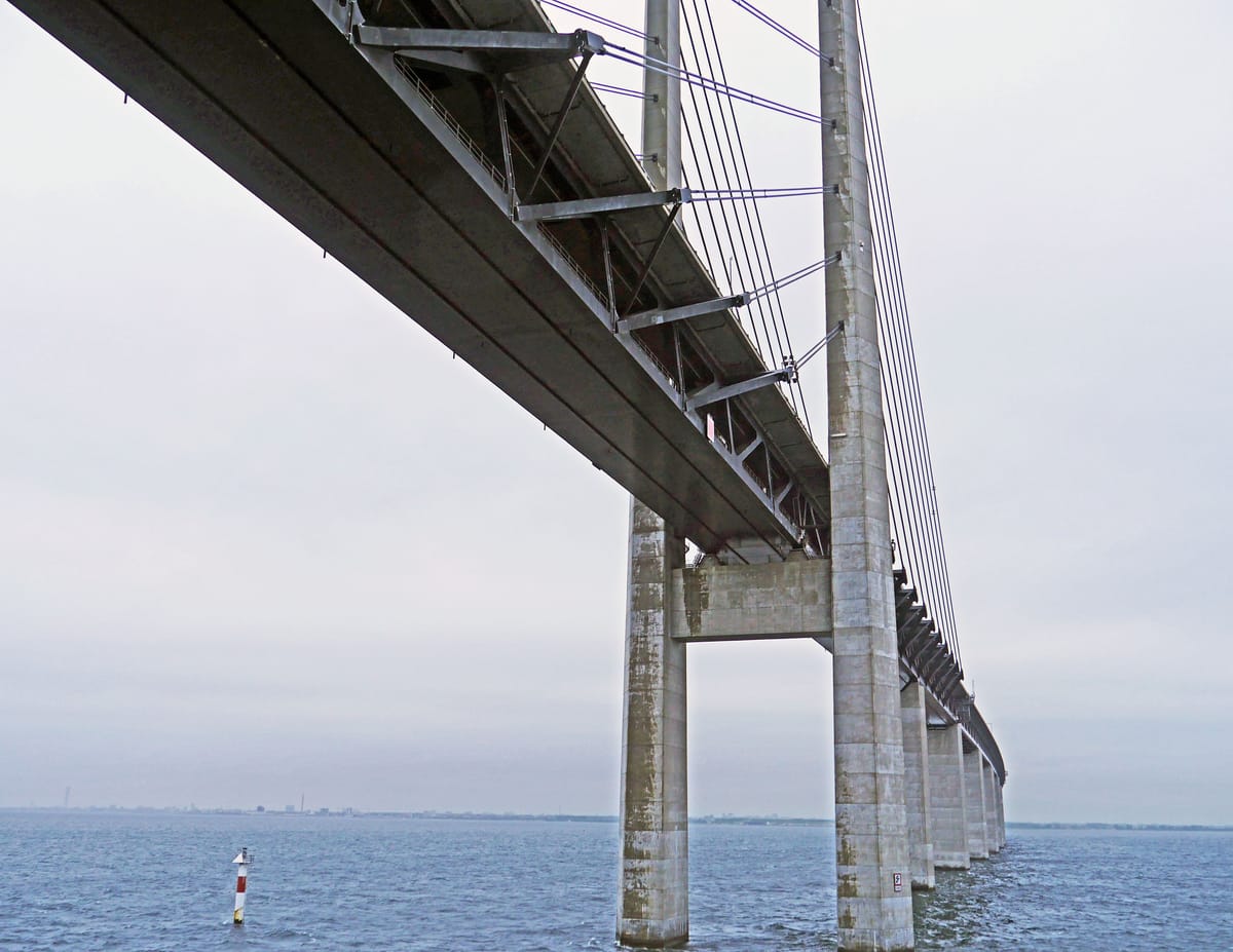 3. 탈주 스캔들 (3) - 같이 놔두면 사고 치는 놈