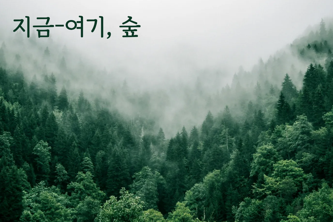 지금-여기, 당신이라는 숲의 온기