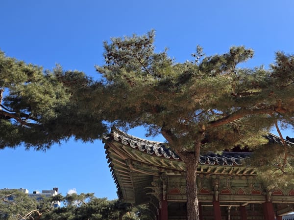 © 2026. 이표. All rights reserved.