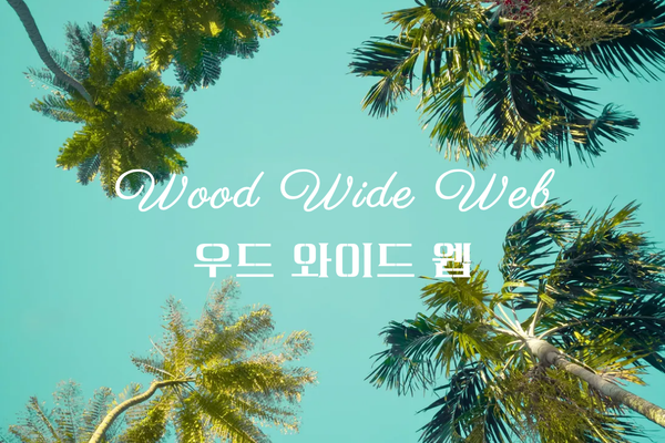 우드 와이드 웹